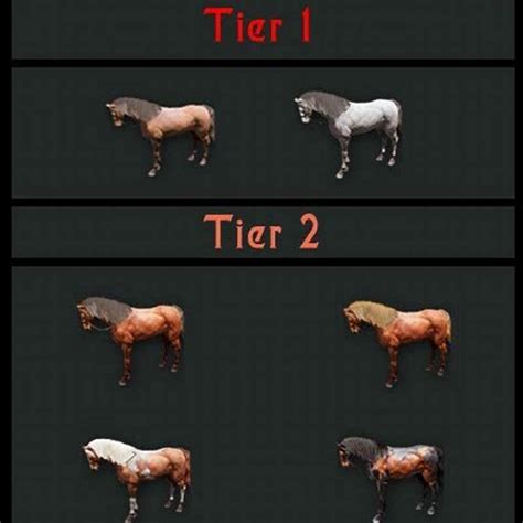 bdo how to breed horses|How to Breed Horses (for Beginners!) .